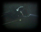 054 Bear Running Line